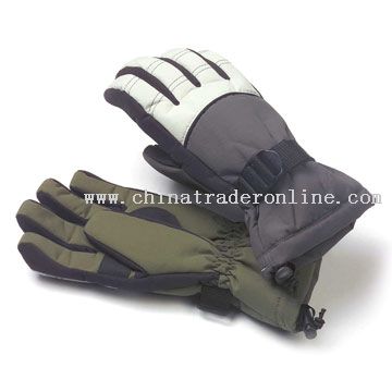 Ski Gloves from China